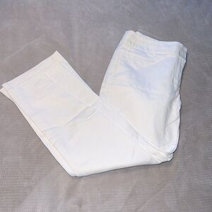 Women's Dalia Collection Pants 12P